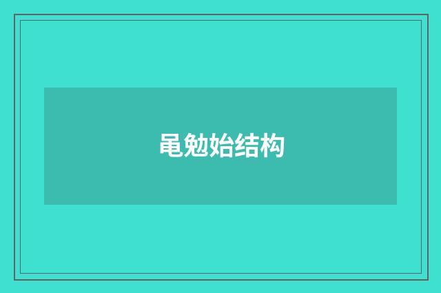 黾勉始结构