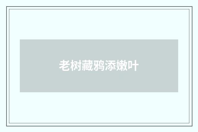 老树藏鸦添嫩叶