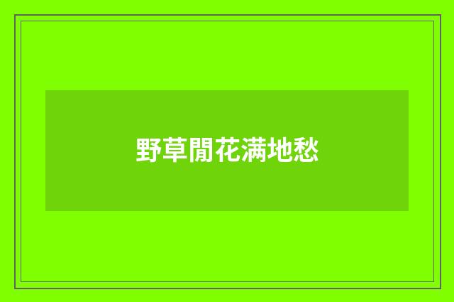 野草閒花满地愁