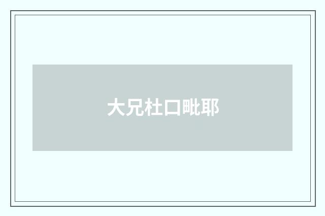 大兄杜口毗耶