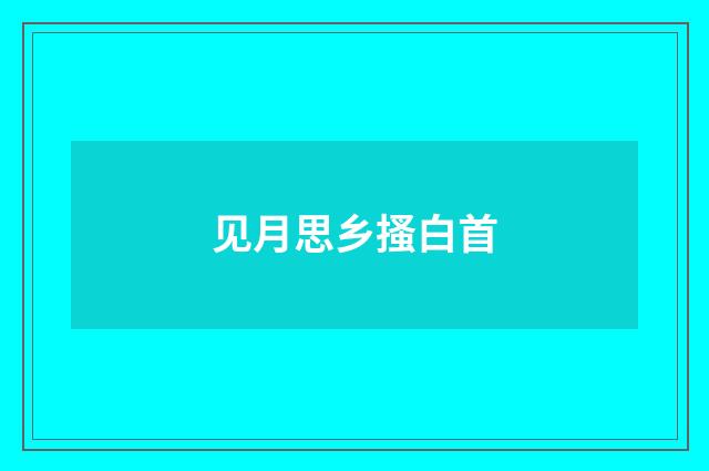见月思乡搔白首