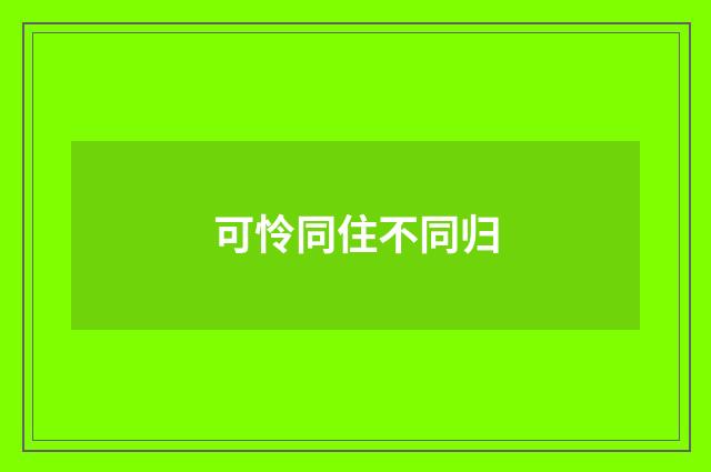 可怜同住不同归