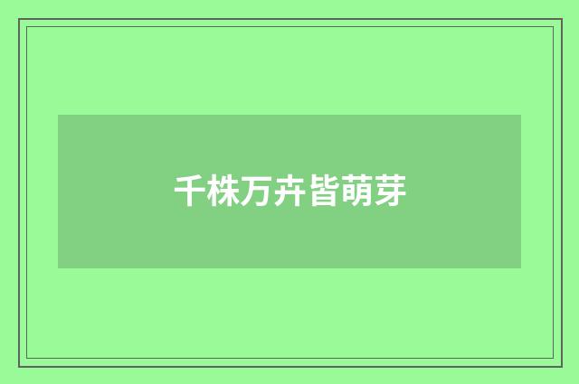 千株万卉皆萌芽