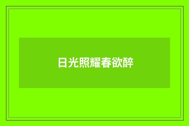 日光照耀春欲醉
