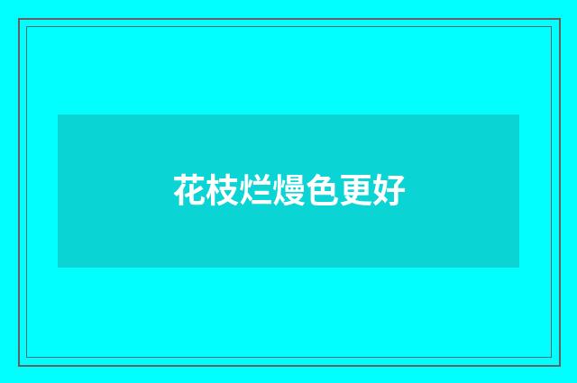 花枝烂熳色更好