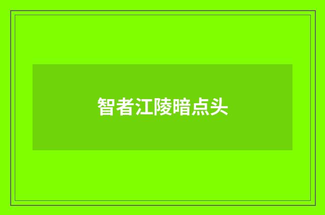 智者江陵暗点头
