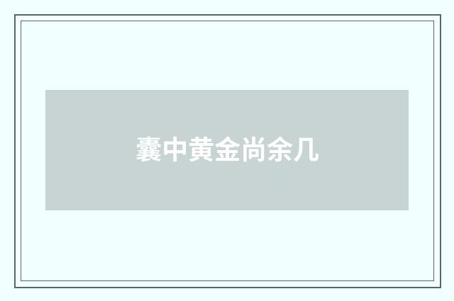 囊中黄金尚余几