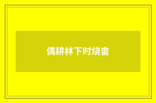 偶耕林下时烧畬