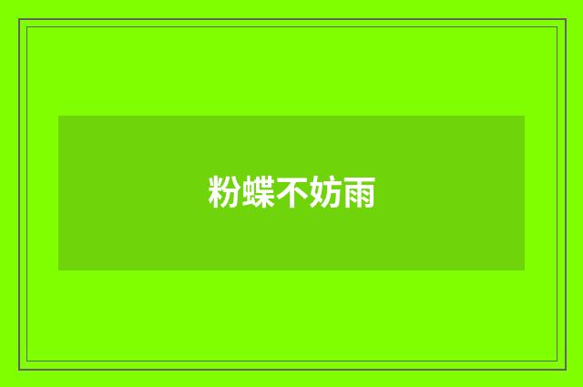 粉蝶不妨雨