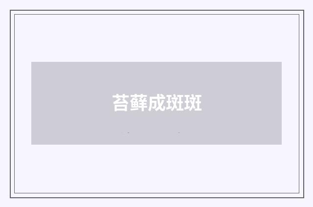 苔藓成斑斑