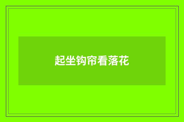 起坐钩帘看落花