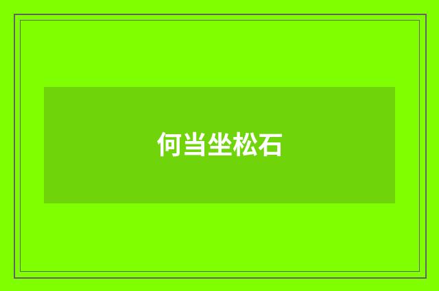 何当坐松石