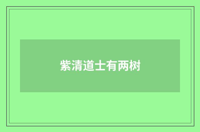 紫清道士有两树