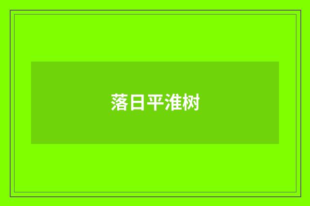 落日平淮树