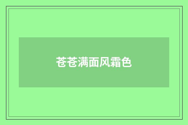 苍苍满面风霜色