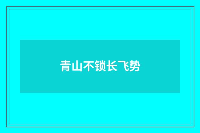 青山不锁长飞势
