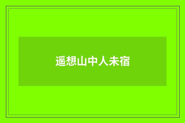 遥想山中人未宿