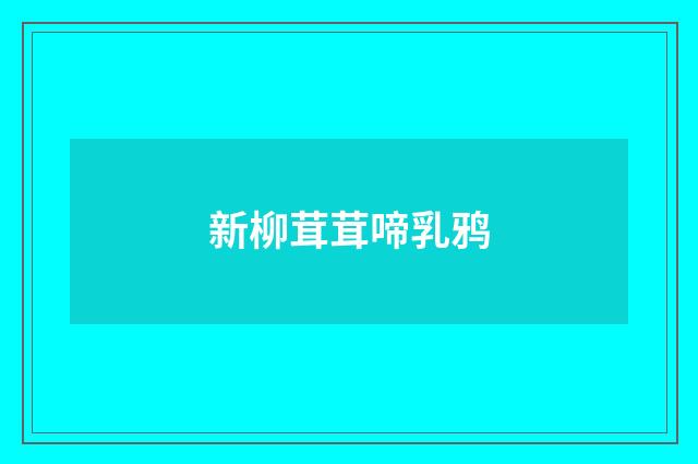 新柳茸茸啼乳鸦