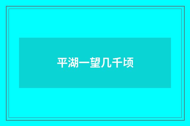 平湖一望几千顷