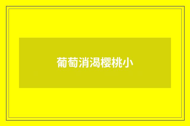 葡萄消渴樱桃小