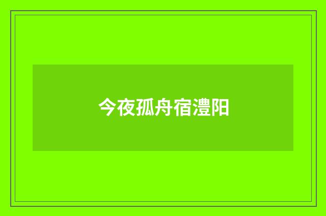今夜孤舟宿澧阳