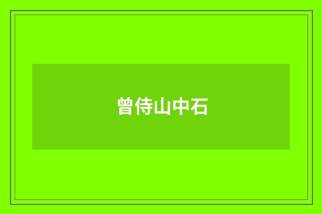 曾侍山中石