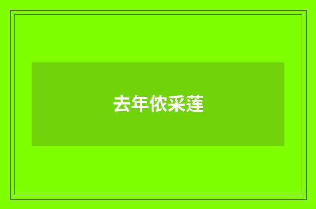 去年侬采莲