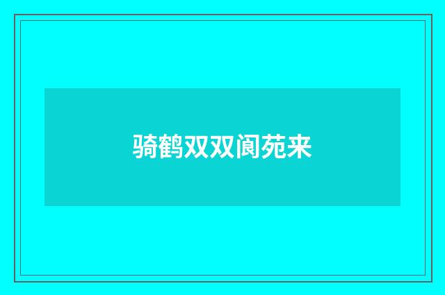 骑鹤双双阆苑来