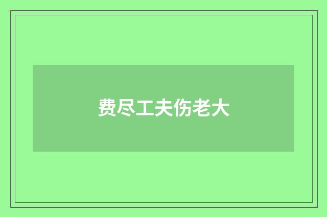 费尽工夫伤老大