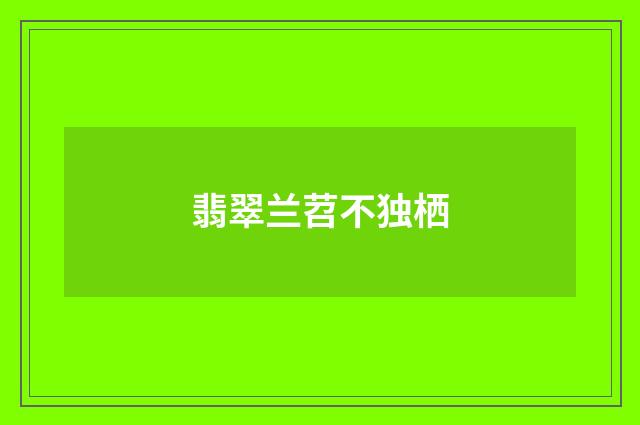 翡翠兰苕不独栖