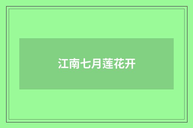 江南七月莲花开