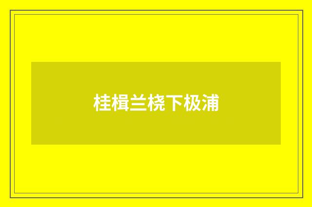 桂楫兰桡下极浦