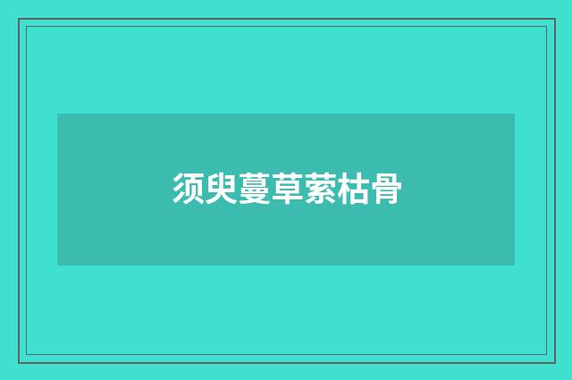 须臾蔓草萦枯骨