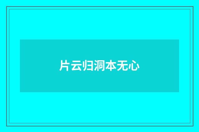 片云归洞本无心