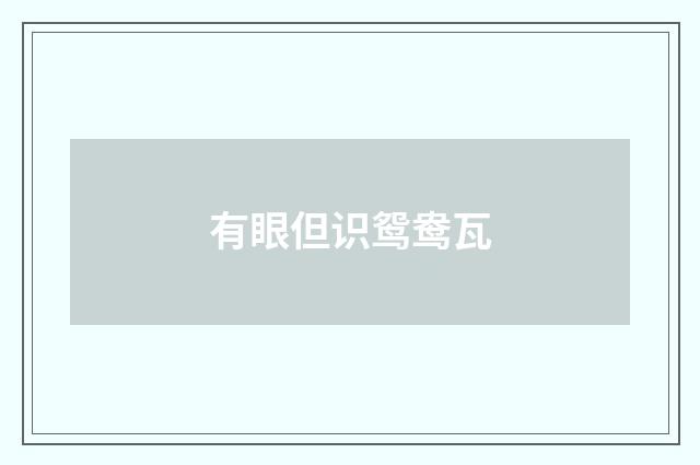 有眼但识鸳鸯瓦