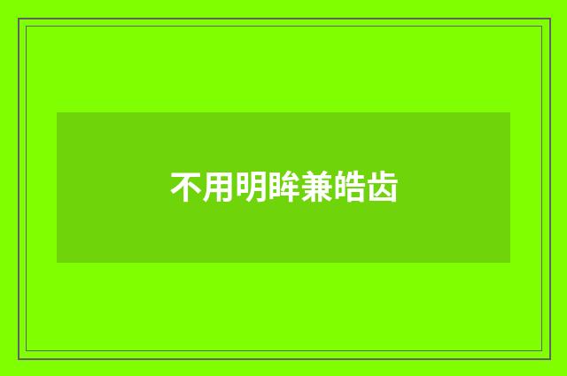 不用明眸兼皓齿