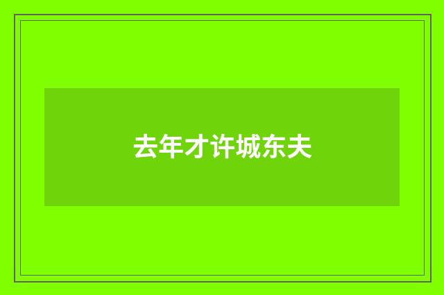 去年才许城东夫