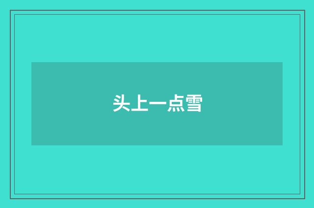 头上一点雪