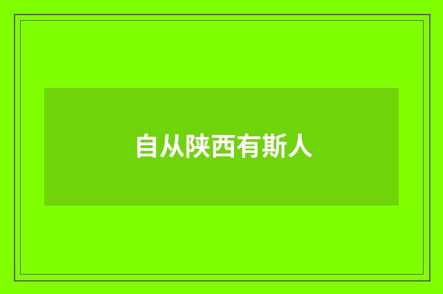 自从陕西有斯人