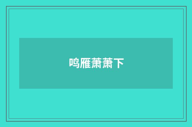 鸣雁萧萧下