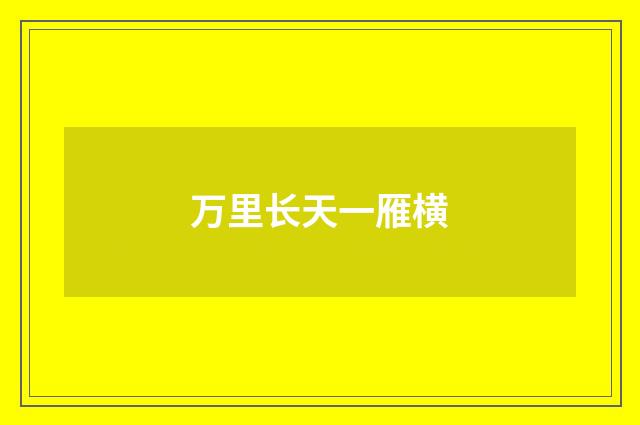 万里长天一雁横