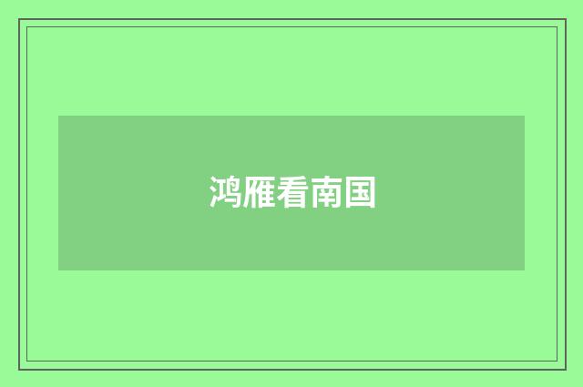 鸿雁看南国