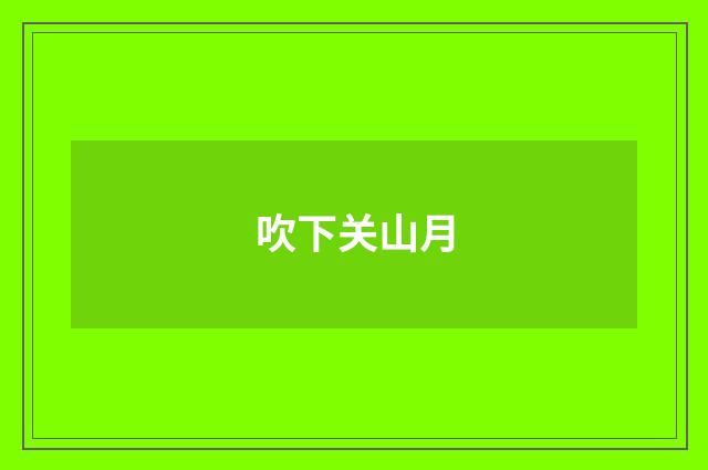 吹下关山月