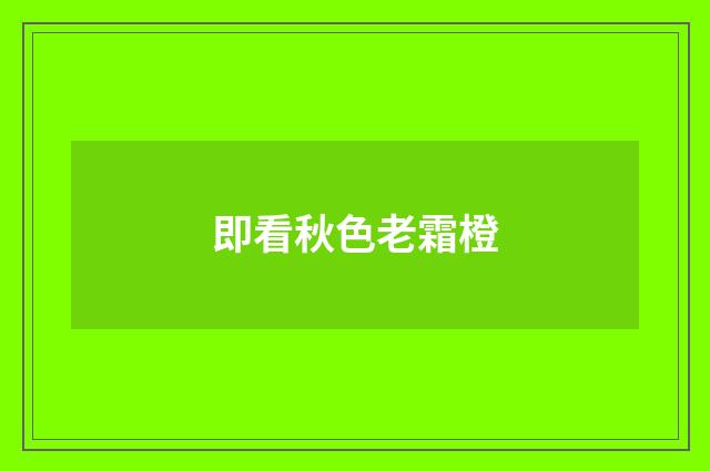 即看秋色老霜橙
