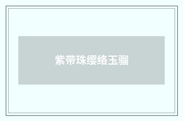 紫带珠缨络玉骝