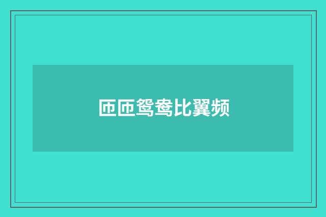 匝匝鸳鸯比翼频