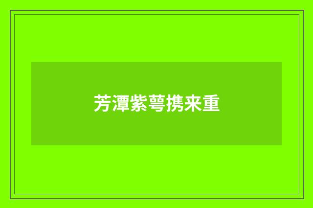 芳潭紫萼携来重