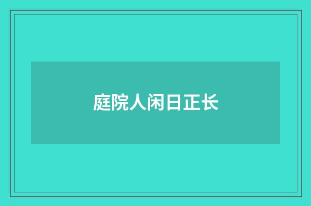 庭院人闲日正长