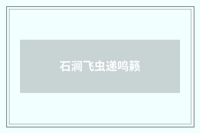 石涧飞虫递鸣籁