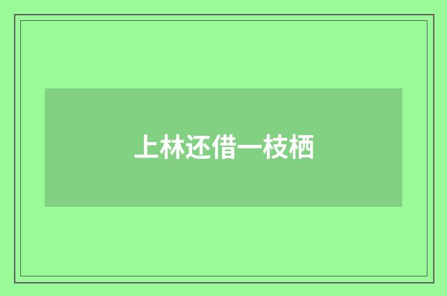 上林还借一枝栖